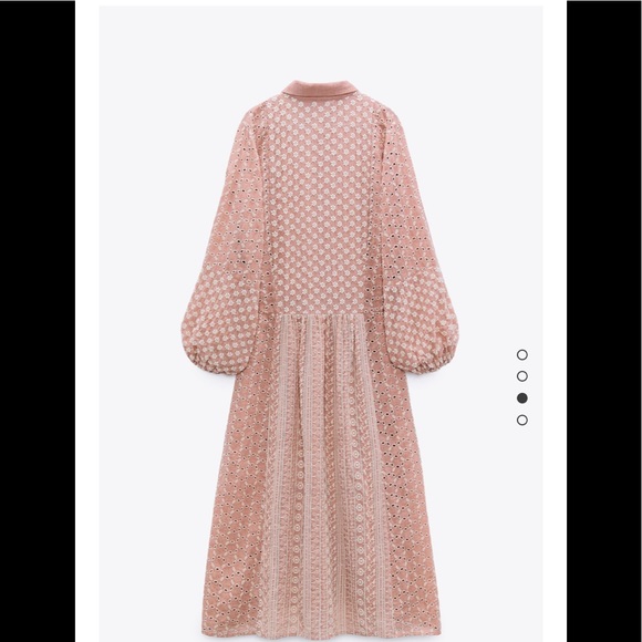BLOGGER FAV Zara Dress embroidered midi dress - Picture 4 of 5